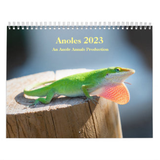 Calendrier MediumCalendar de deux pages, blanc