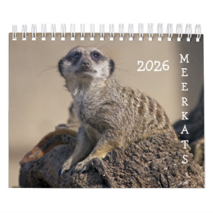 Calendrier Meerkats