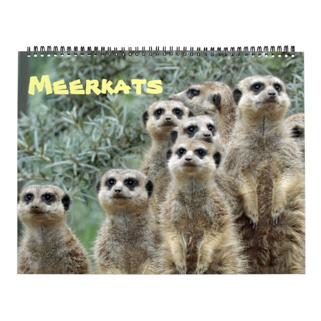 Calendrier Meerkats 001 (Protection)