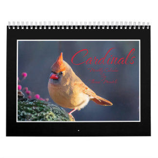 Calendrier mensuel des cardinaux