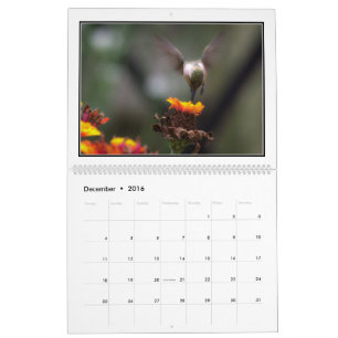 Calendrier mensuel des colibris 2016 par Tom