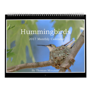 Calendrier mensuel des colibris 2017 par Tom