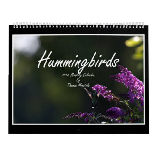 Calendrier mensuel des colibris 2018 par Tom