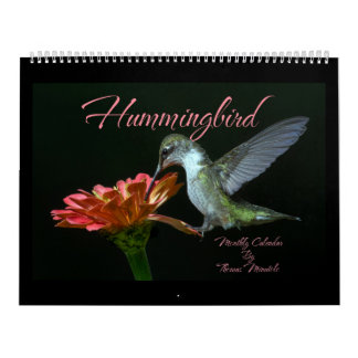 Calendrier mensuel des colibris par Tom Minutolo