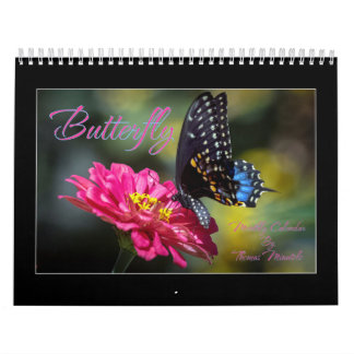 Calendrier mensuel des papillons par Thomas Minuto
