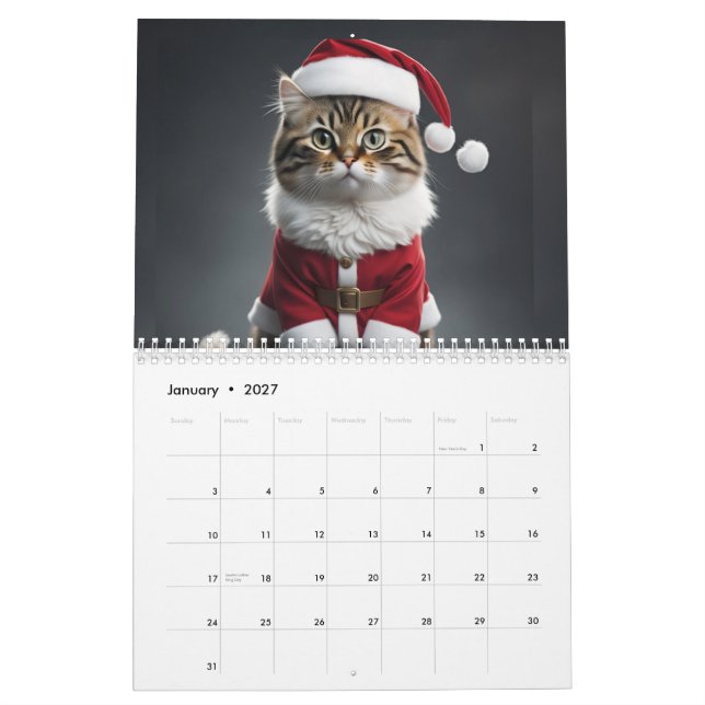 Calendrier Meowy (Jan 2027)