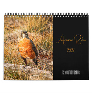 Calendrier Merle d'Amérique 2027