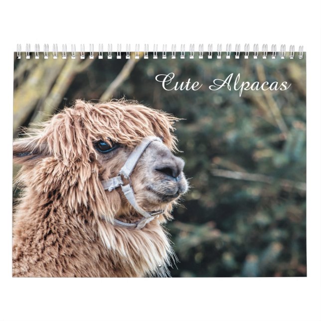 Calendrier mignon d'alpaga entièrement (Protection)