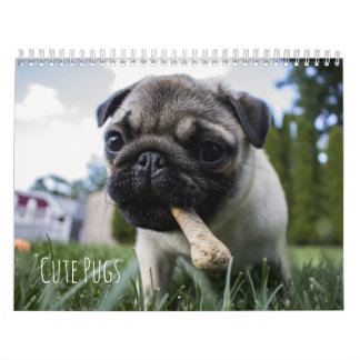 Calendrier mignon de chiens de carlins -