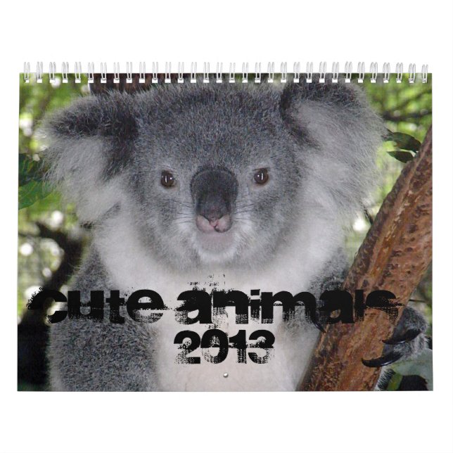 CALENDRIER MIGNON DES ANIMAUX 2013 (Protection)