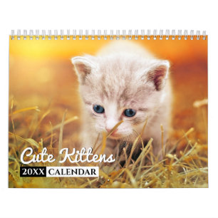 Calendrier mignon des chatons photo murale