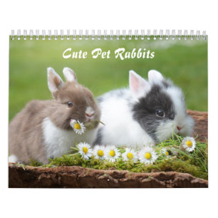 Calendrier Mignons lapins lapins lapins lapins