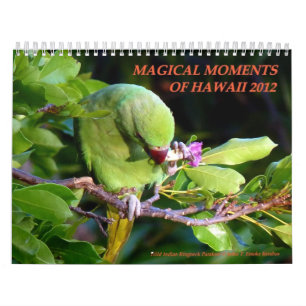 Calendrier Moments magiques d'Hawaï 2012