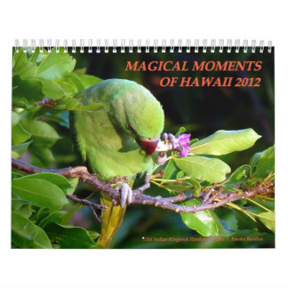 Calendrier Moments magiques d'Hawaï 2012