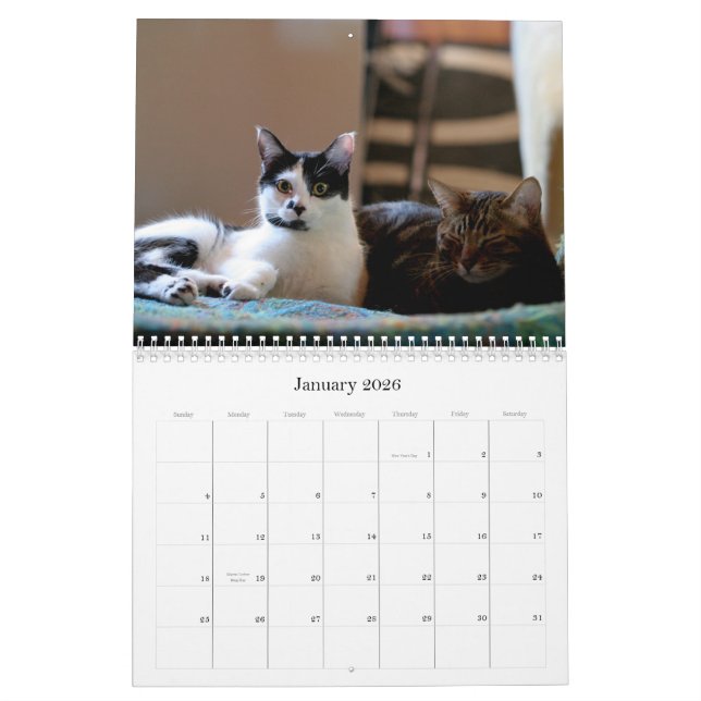 Calendrier Mooki et Kiko 2009 (Jan 2026)