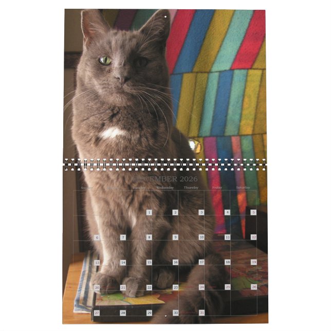 Calendrier Mordi, Basil & Friends Cat Calendar 2025 (Dec 2026)