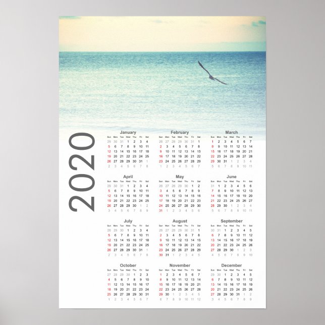 Calendrier Mouette 2020 Affiche (Devant)