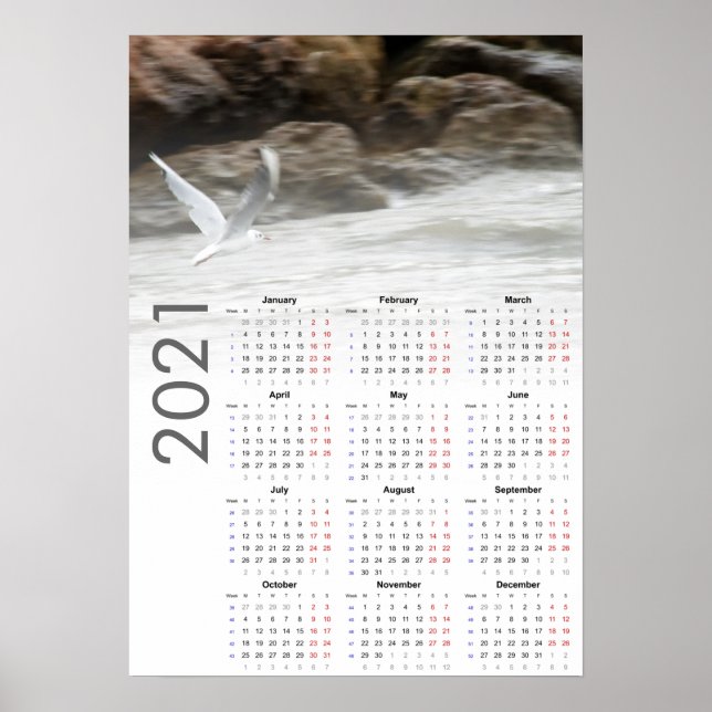 Calendrier Mouette 2021 Poster - Lundi en premier (Devant)