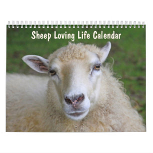 Calendrier Mouton Aimer la vie
