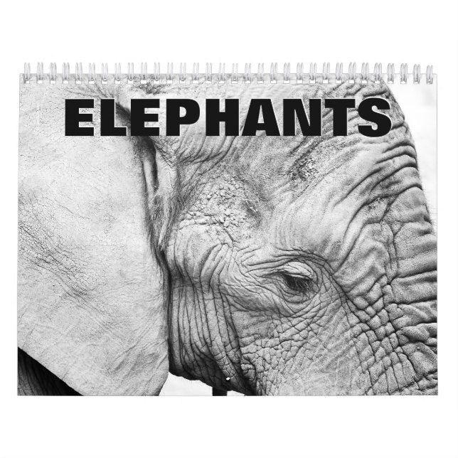 Calendrier mur des éléphants (Protection)