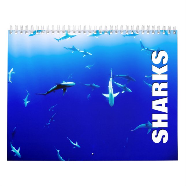 Calendrier mur requins (Protection)