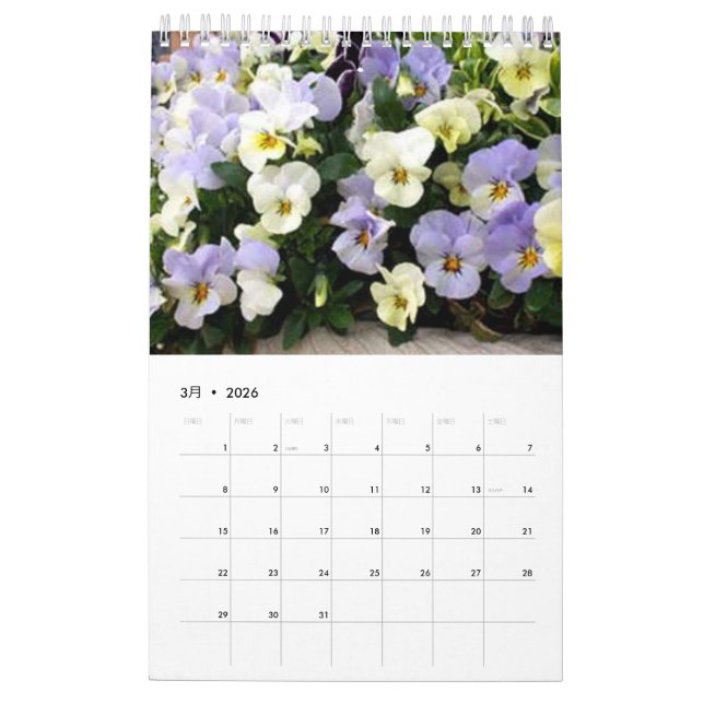 CALENDRIER MURAL 植物カレンダー2017 (Mar 2026)