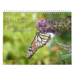 Calendrier Mural 12 Mois de Papillons Magnifiques