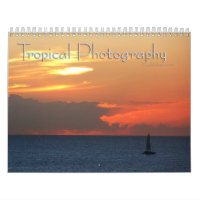12 Mois de Photographie Tropicale, 1ère édition