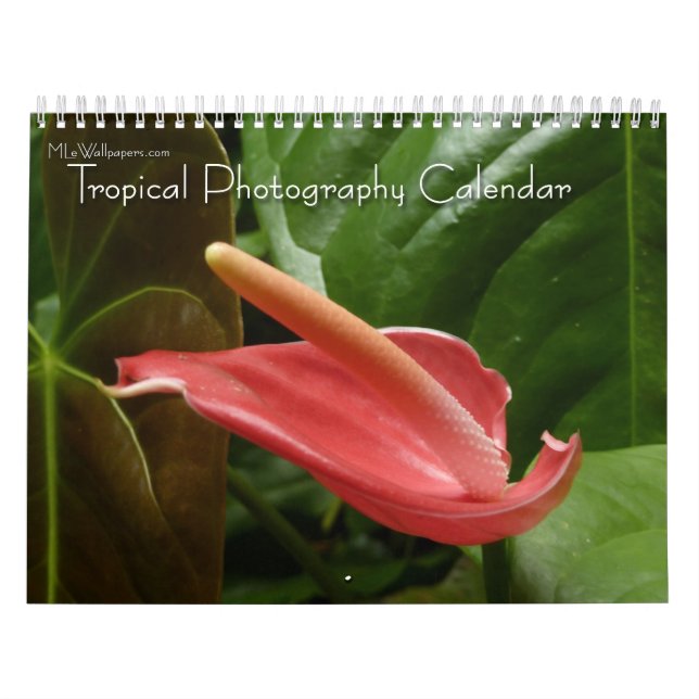 Calendrier Mural 12 Mois de Photographie Tropicale, 4e édition (Protection)