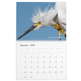 Calendrier Mural 12 oiseaux pour la photographie 2018 d'épine de