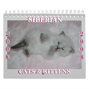 Calendrier Mural 2008 SM sibérien des chats Calendar2