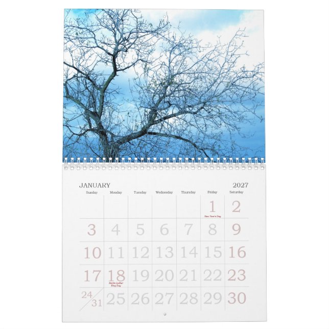 Calendrier Mural 2009 par peu de pixel gris (Jan 2027)