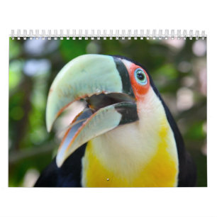Calendrier Mural 2010 calendrier, oiseaux du Brésil