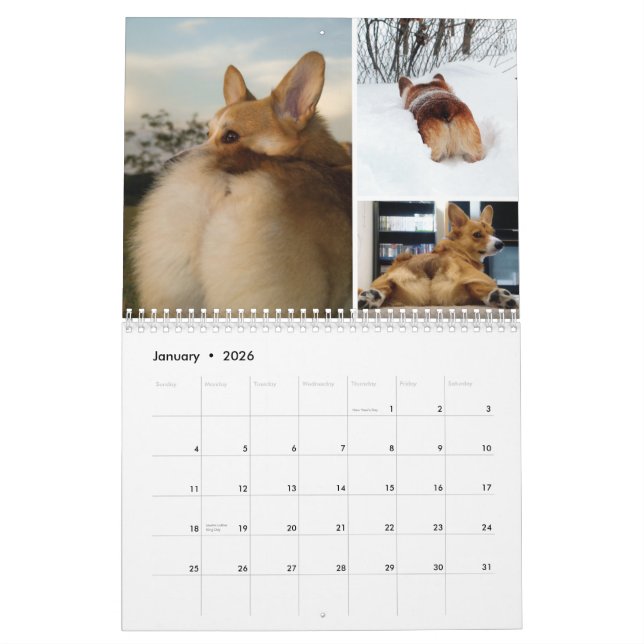 Calendrier mural 2012 Corgi Butts & Friends (Jan 2026)