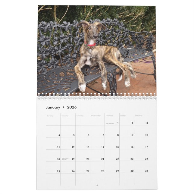Calendrier Mural 2014 chiots de soie de Windhound 2-4 (Jan 2026)