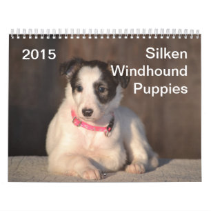 Calendrier Mural 2015 chiots de soie de Windhound