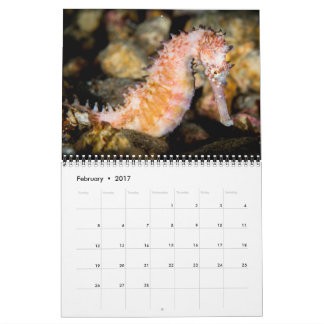Calendrier Mural 2017 classent sous-marin