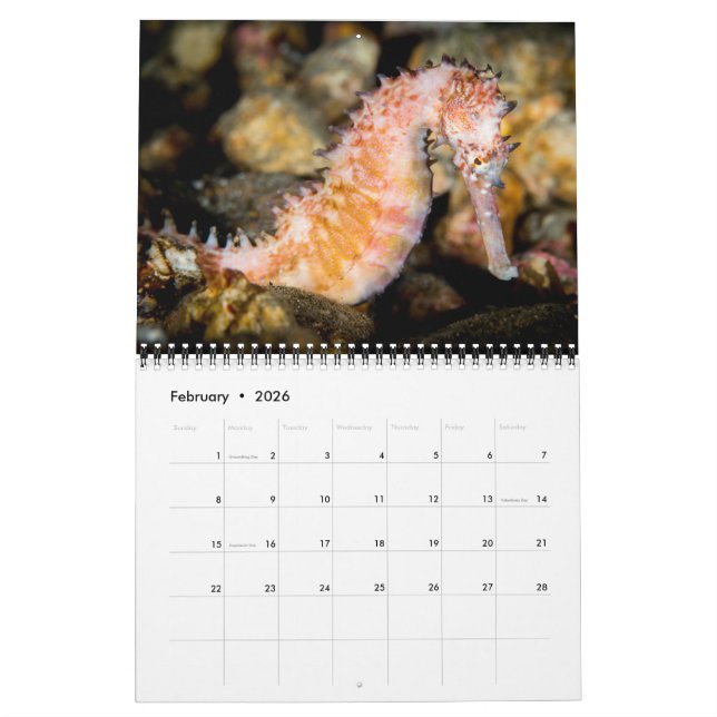 Calendrier Mural 2017 classent sous-marin (Feb 2026)