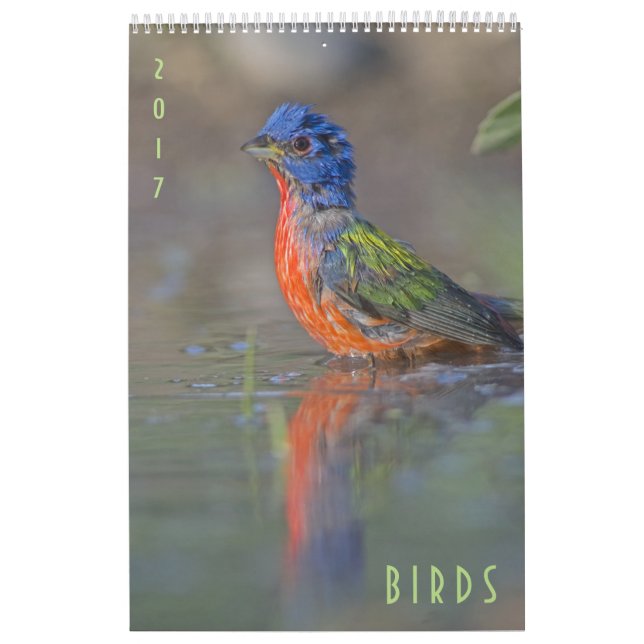 Calendrier mural 2017 de faune d'oiseaux (Protection)