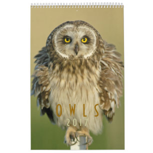 Calendrier mural 2017 pour des amants de hibou