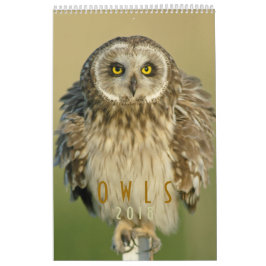 Calendrier mural 2018 d'amants de hibou
