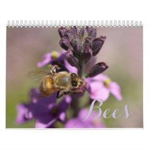 Calendrier Mural Abeilles do-it-yourself CALENDARS