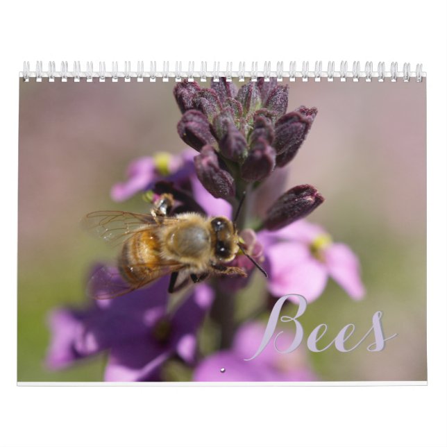 Calendrier Mural Abeilles do-it-yourself CALENDARS (Protection)