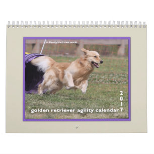 Calendrier Mural Agilité 2017 de golden retriever
