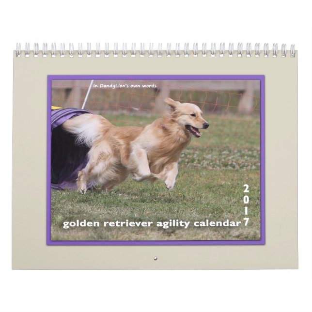 Calendrier Mural Agilité 2017 de golden retriever (Protection)
