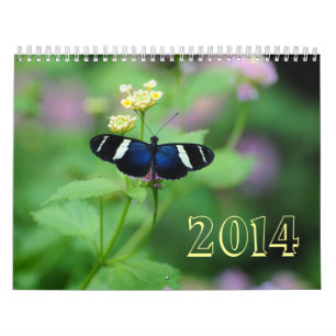 Calendrier Mural Ailes de papillon d'émerveillement