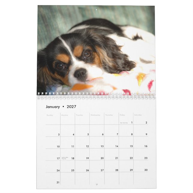 Calendrier Mural Amour cavalier d'épagneul du Roi Charles ! (Jan 2027)