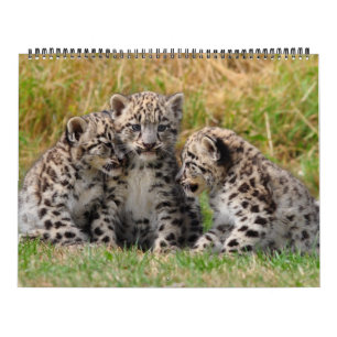 Calendrier Mural Animal
