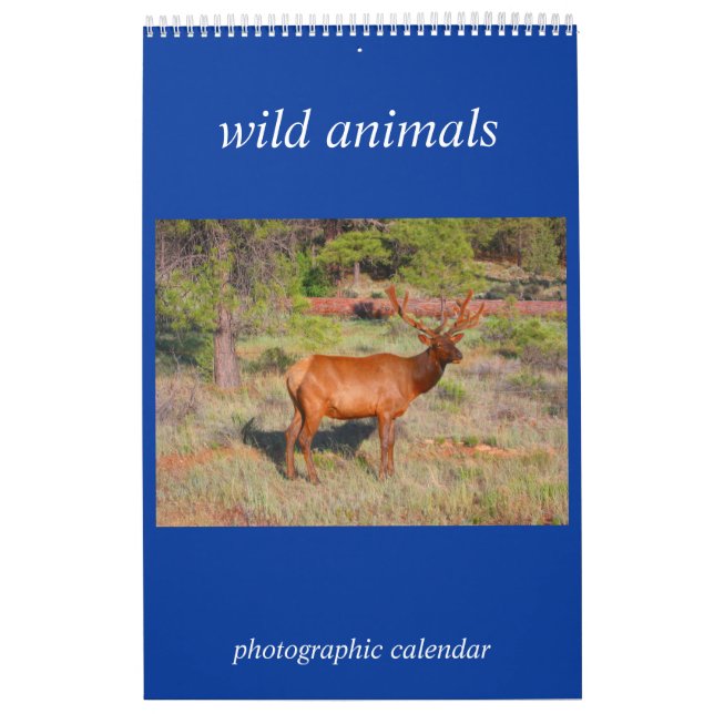 Calendrier Mural animal sauvage (Protection)