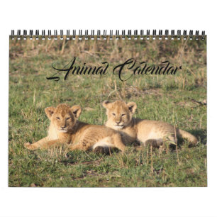 Calendrier Mural Animal Wild Life Office Accueil Destinée Destinée